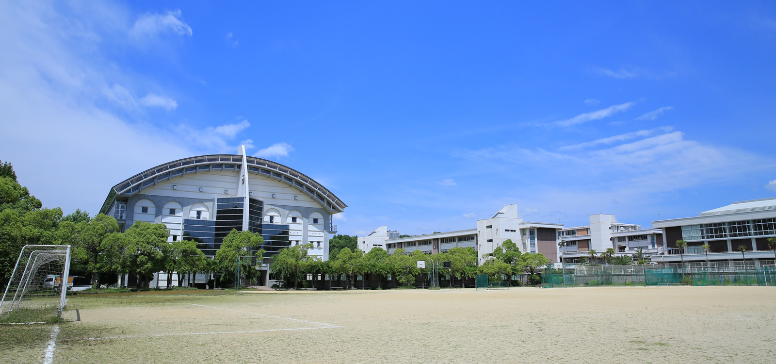 kotigaku.jpg kotigaku.jpg