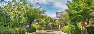 namiki.jpg namiki.jpg