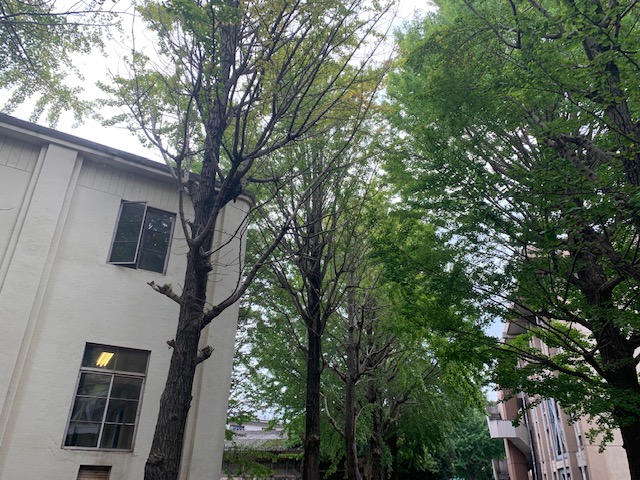 tibako.jpg tibako.jpg