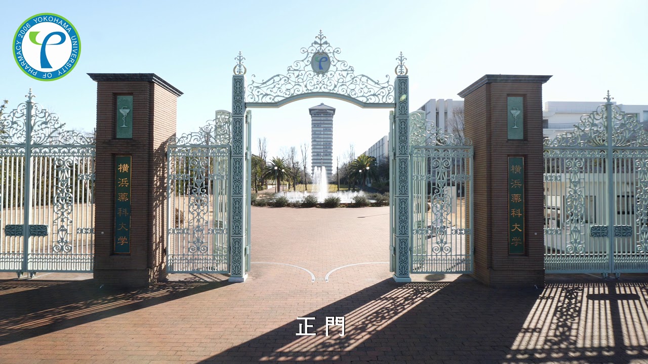 yokoyaku.jpg yokoyaku.jpg