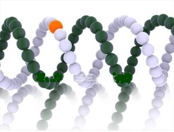 [�Хå����åװ���]