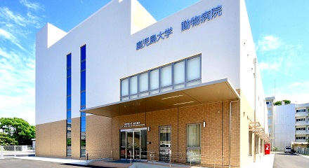 鹿児島大学獣医学部