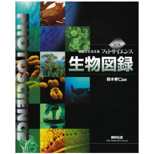 ���o�łƂ炦��t�H�g�T�C�G���X