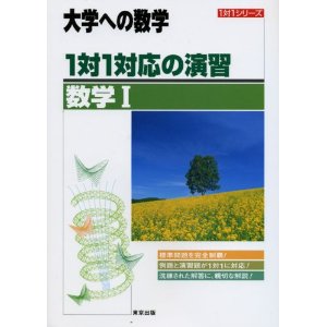 1��1�Ή��̉��K