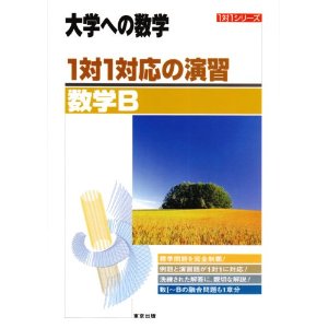 1��1�Ή��̉��K